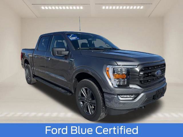 Certified 2023 Ford F150 XLT w/ Equipment Group 302A High image 1