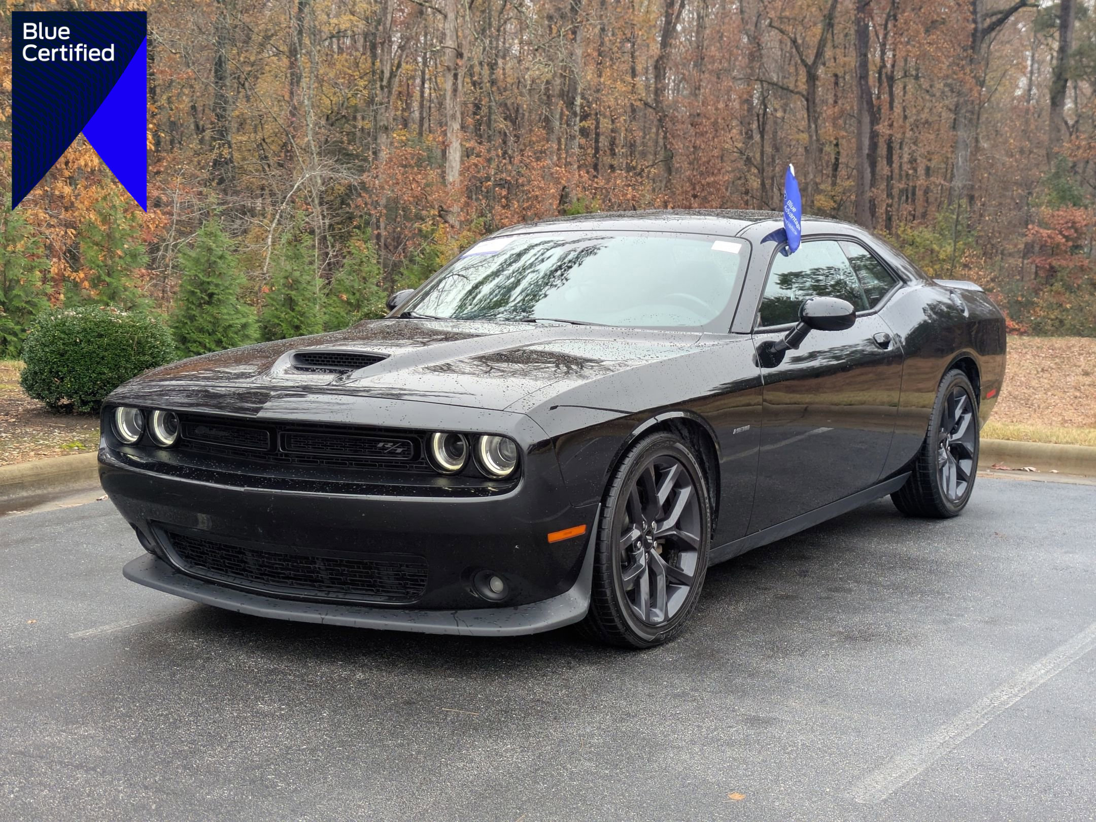 Used 2019 Dodge Challenger R/T w/ Blacktop Package