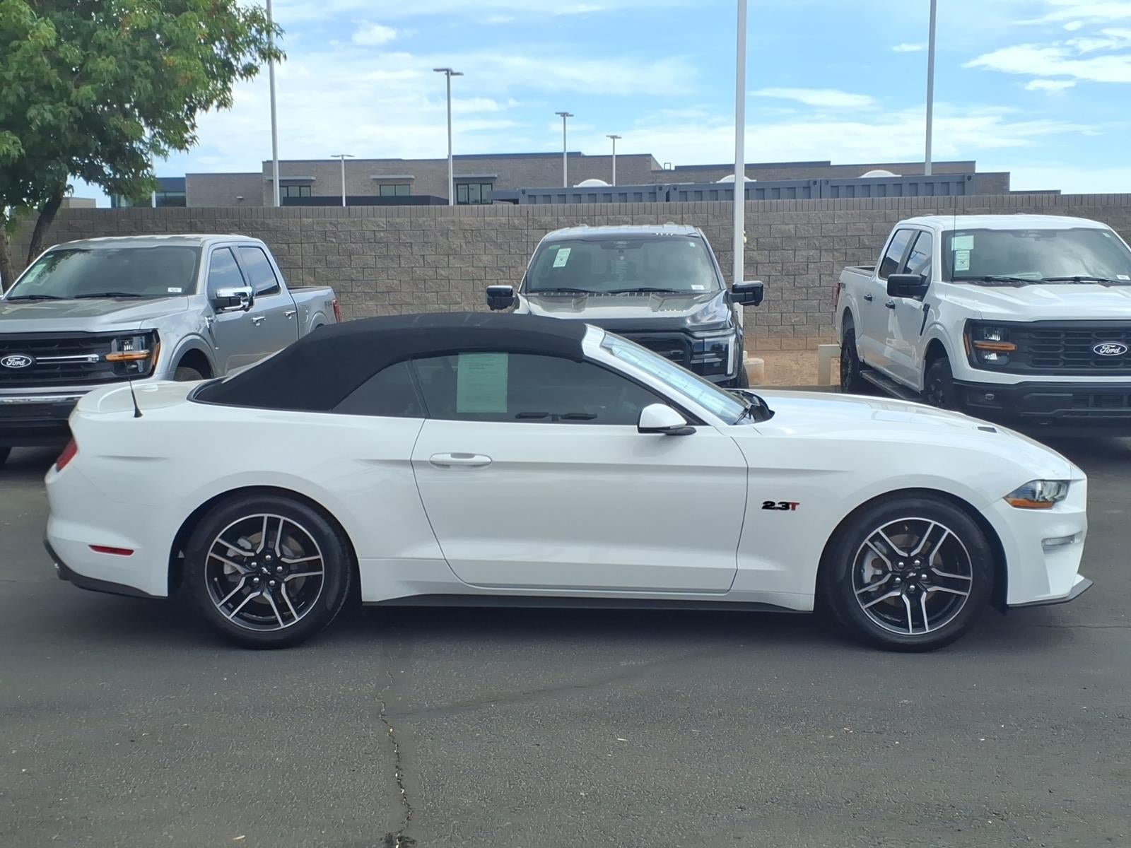Certified 2018 Ford Mustang Premium RWD image 3