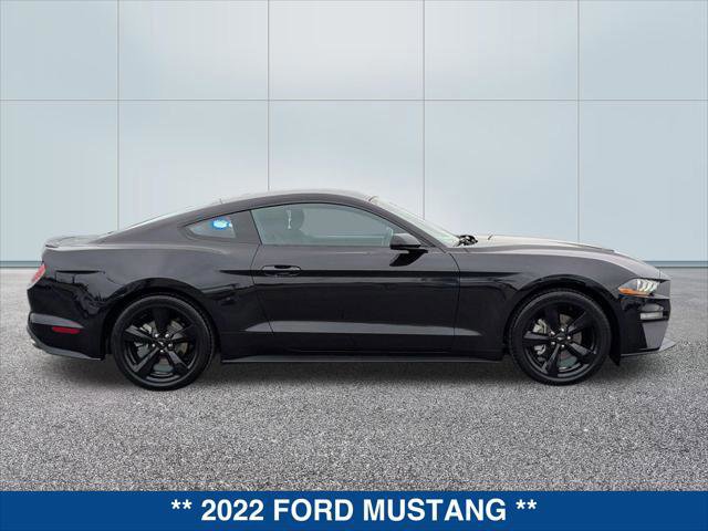 Certified 2022 Ford Mustang EcoBoost Fastback w/ Equipment Group 101A image 2