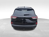 Certified 2022 Ford Escape SEL w/ SEL Stealth AWD Package image 4