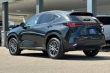 Used 2025 Lexus NX 350h AWD w/ Premium Package image 5