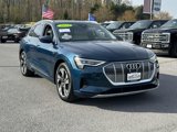 Used 2022 Audi e-tron Premium Plus w/ Premium Plus Package image 5