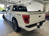 Certified 2023 Ford F150 XLT w/ Equipment Group 302A High image 3