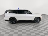 Used 2021 Cadillac Escalade Sport Platinum image 6