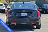 Used 2022 Cadillac CT5 Premium Luxury w/ Climate Package image 4