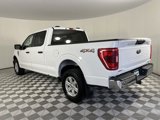 Certified 2023 Ford F150 XLT w/ Equipment Group 301A Mid image 3