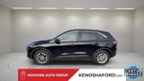 Certified 2022 Ford Escape SE image 3
