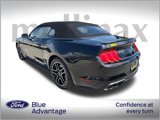 Certified 2023 Ford Mustang GT Premium image 3