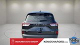 Certified 2022 Ford Escape SE image 5