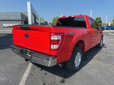 Certified 2022 Ford F150 XL w/ Equipment Group 101A High image 4