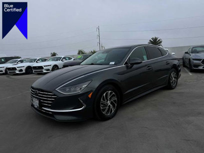 Used 2023 Hyundai Sonata Blue w/ Cargo Package
