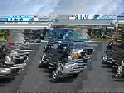 Certified 2023 Ford F150 XLT w/ Equipment Group 302A High