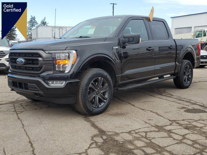 Certified 2023 Ford F150 XLT w/ Equipment Group 302A High
