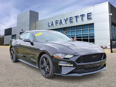 Certified 2023 Ford Mustang GT Premium w/ Equipment Group 401A