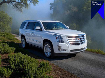 Used 2020 Cadillac Escalade Platinum