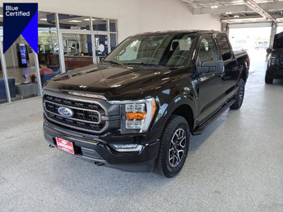 Certified 2023 Ford F150 XLT w/ Equipment Group 302A High