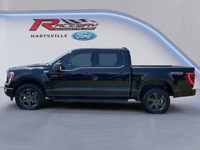 Certified 2023 Ford F150 XLT w/ Equipment Group 302A High
